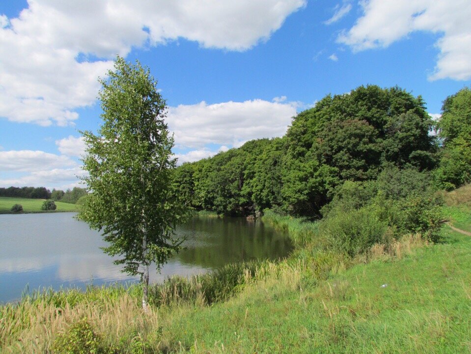 озеро раковическое лужский район лен.обл фото