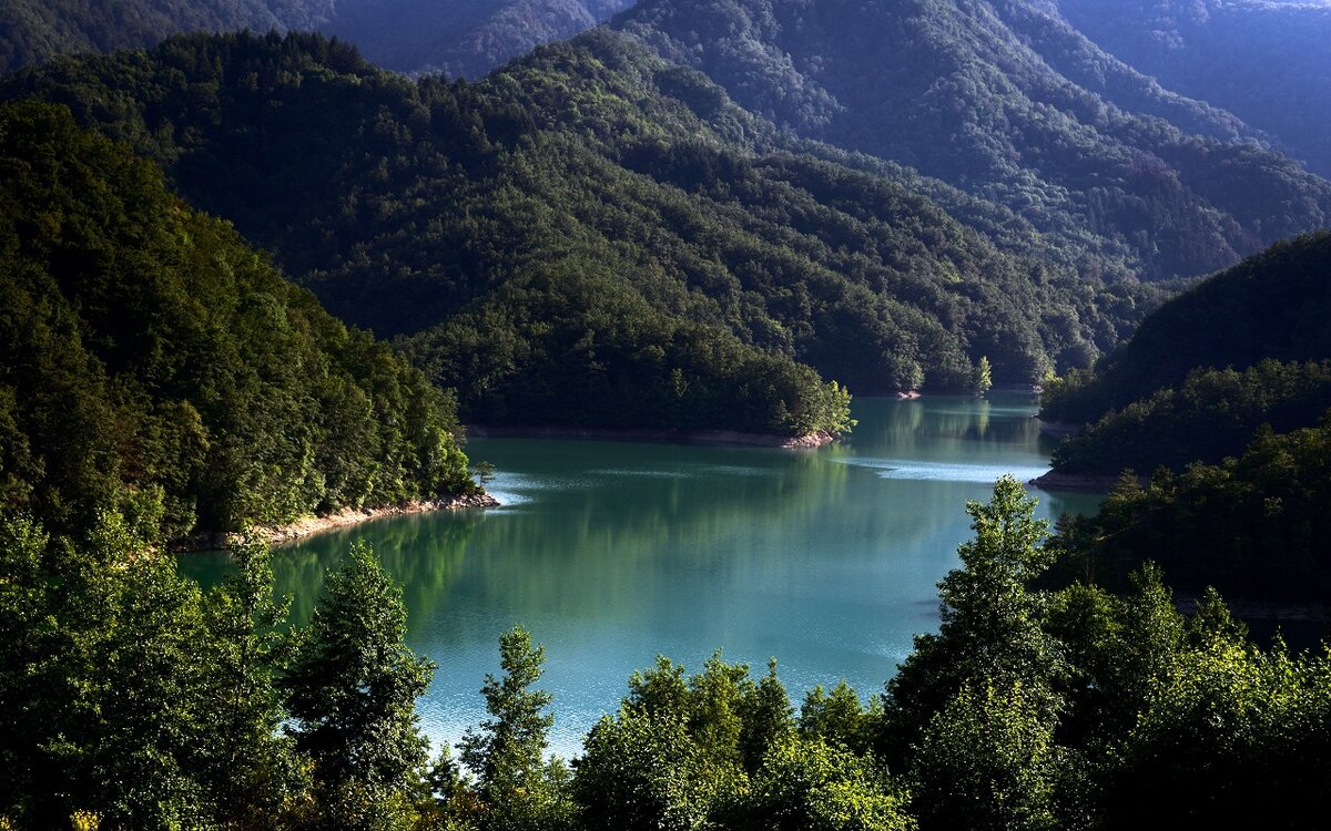 озеро рица абхазия фото