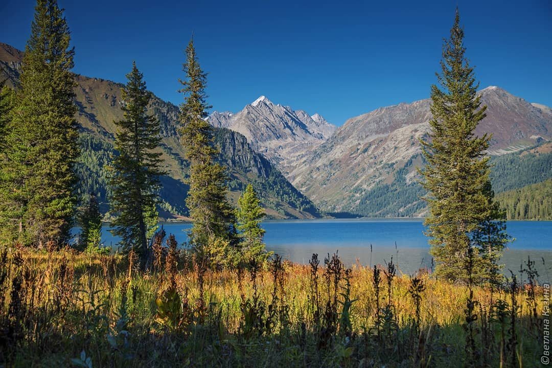 озеро тальмень фото