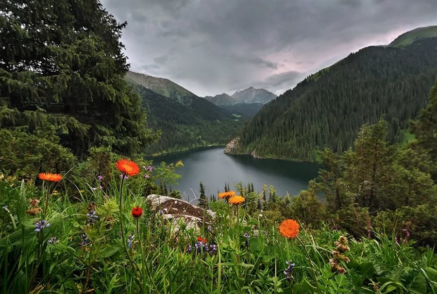 озеро в альпах фото