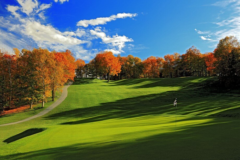 Park golf фото