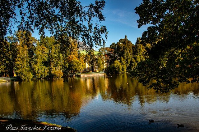парк ивановские пруды в красногорске фото