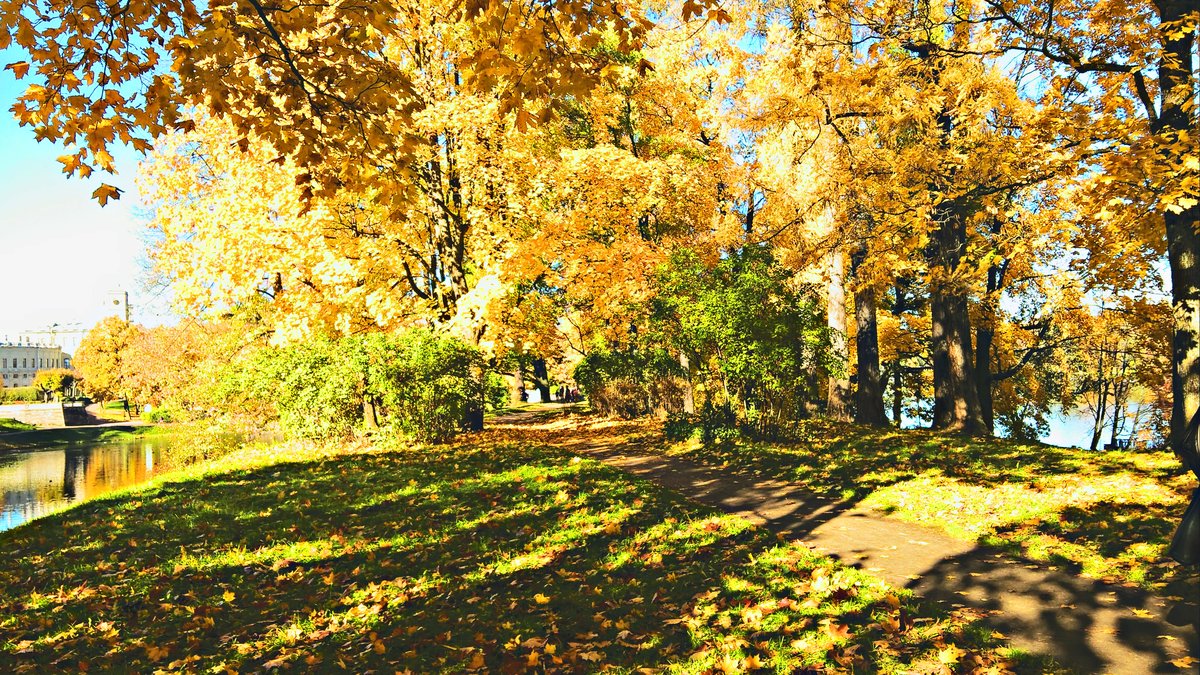 парк осень бабье лето фото
