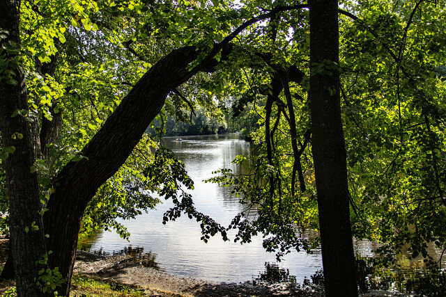 парк смоленское поозерье фото