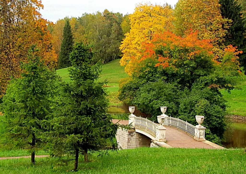 павловск парк фото