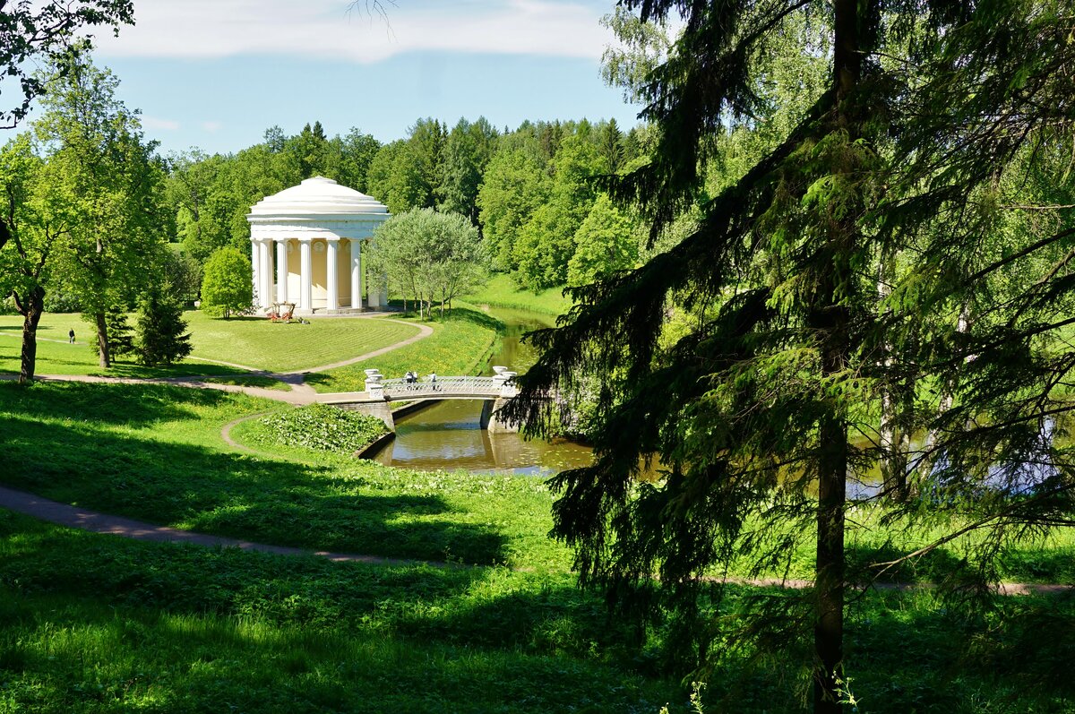 павловск парк фото