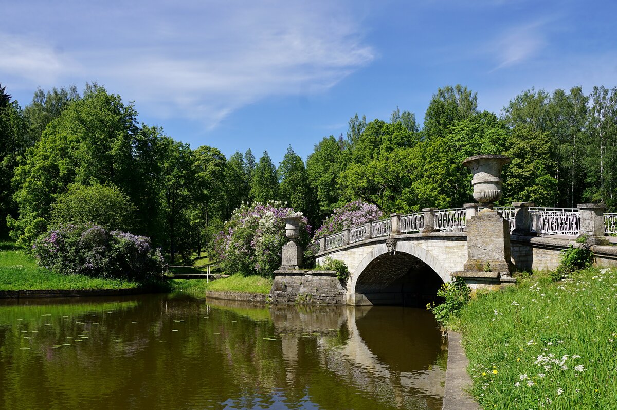 павловский парк санкт-петербург фото