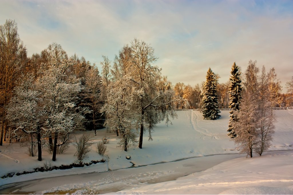 павловский парк зимой фото