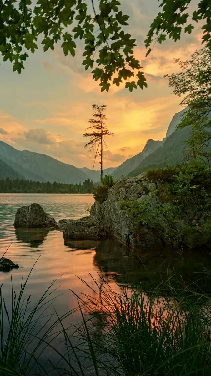 пейзаж горы река деревья фото