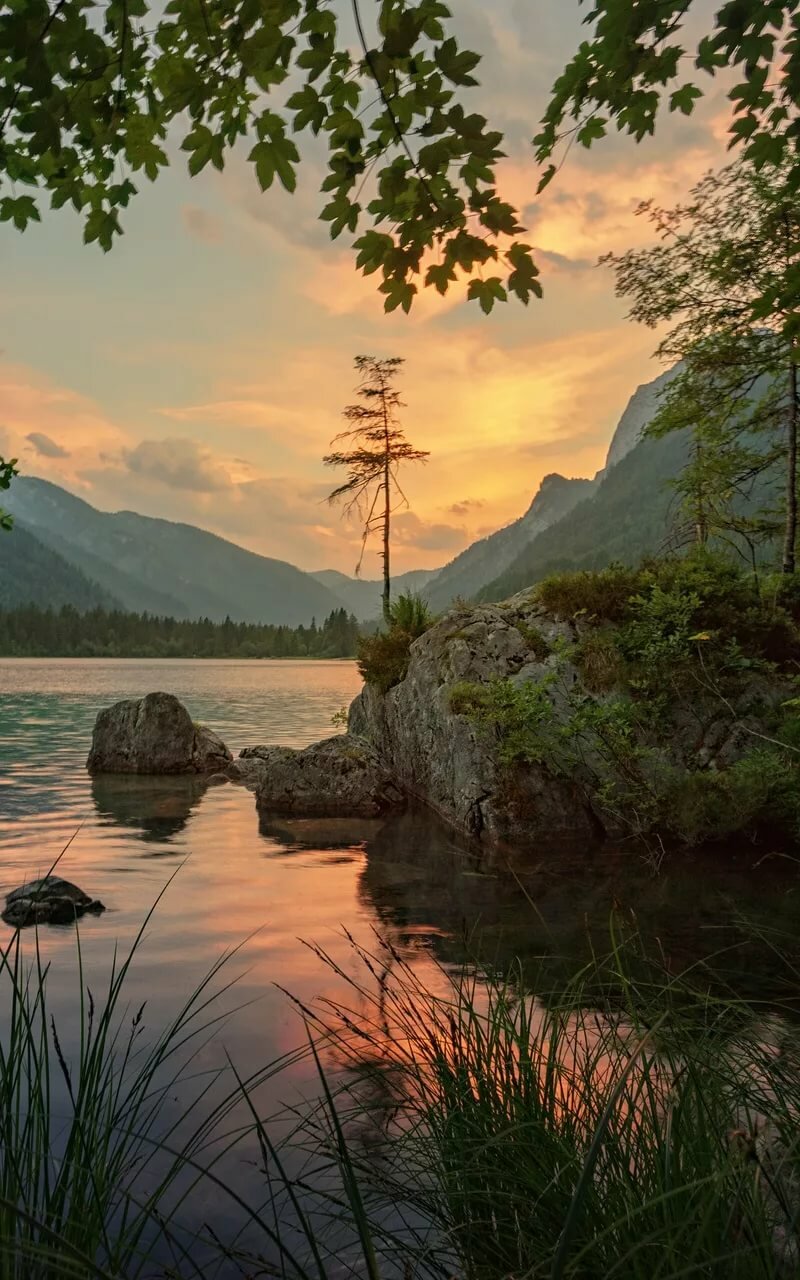 пейзаж горы река деревья фото