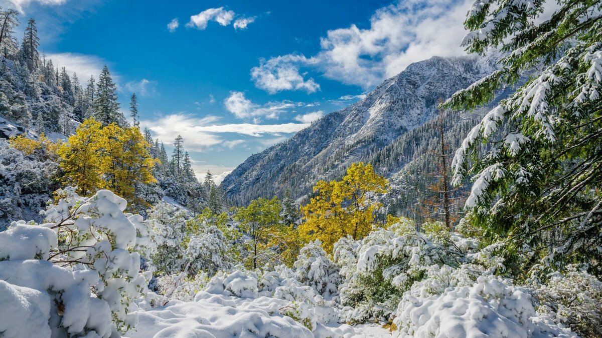 пейзаж горы зима фото