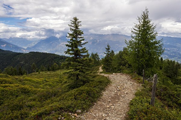 пейзаж лес горы тропинка фото