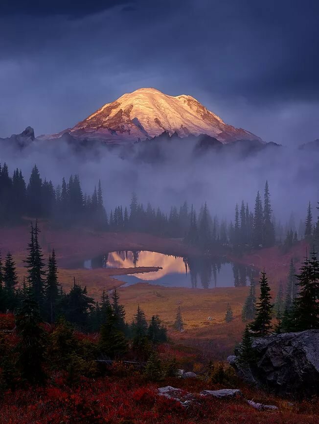 пейзаж лес сша фото