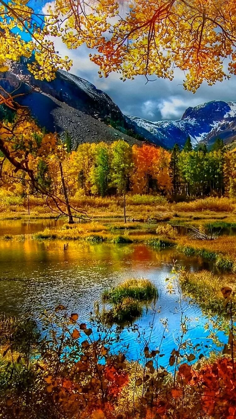 пейзаж осени фото