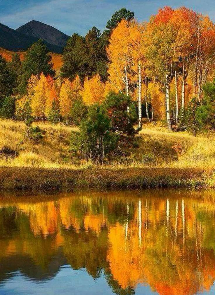 пейзаж осени фото