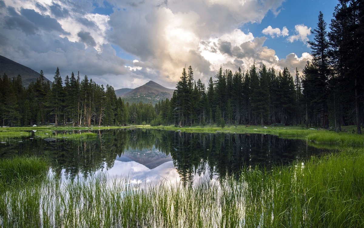 пейзаж озеро в лесу фото