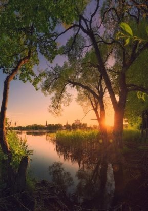 пейзаж речка деревья рассвет закат фото