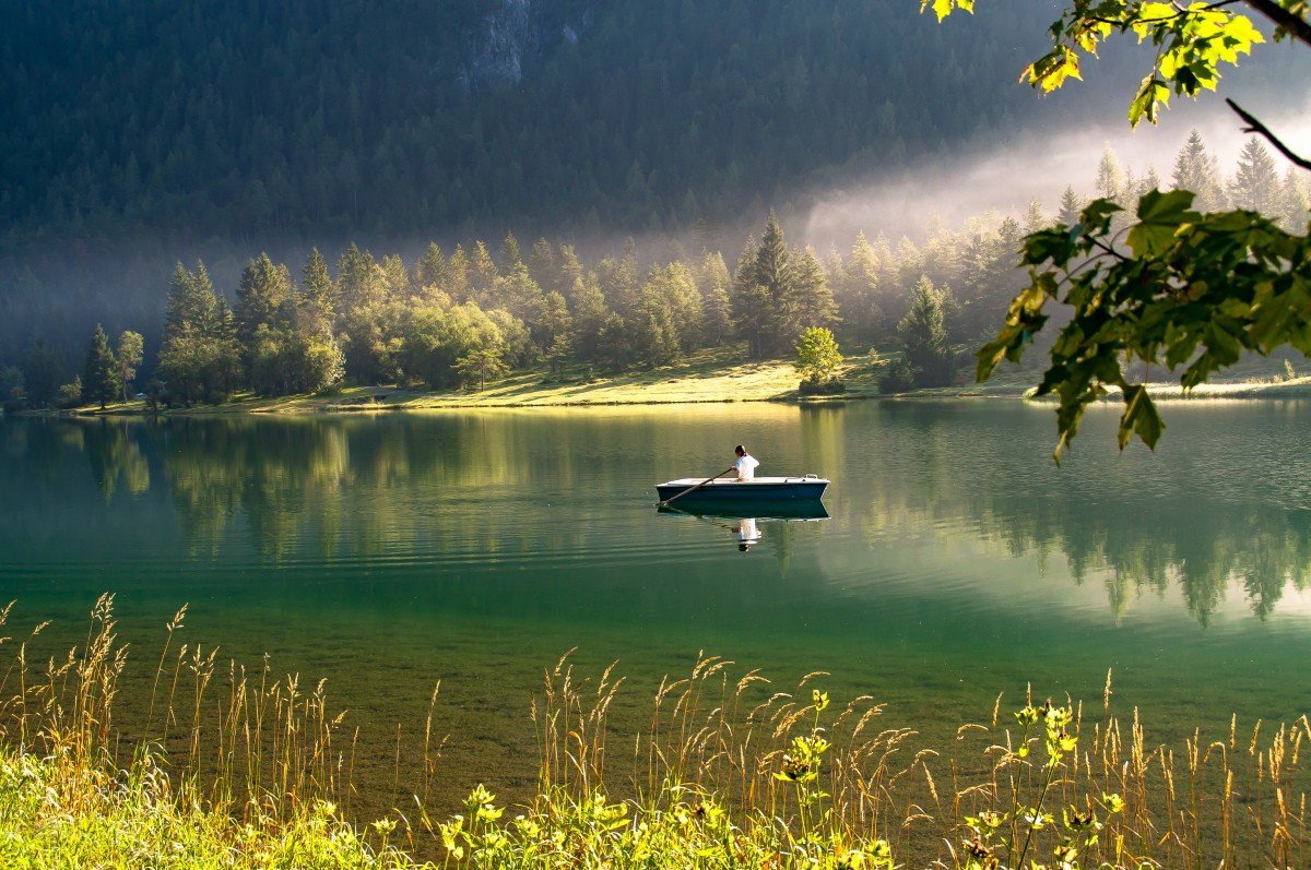 пейзаж река лес лодка фото