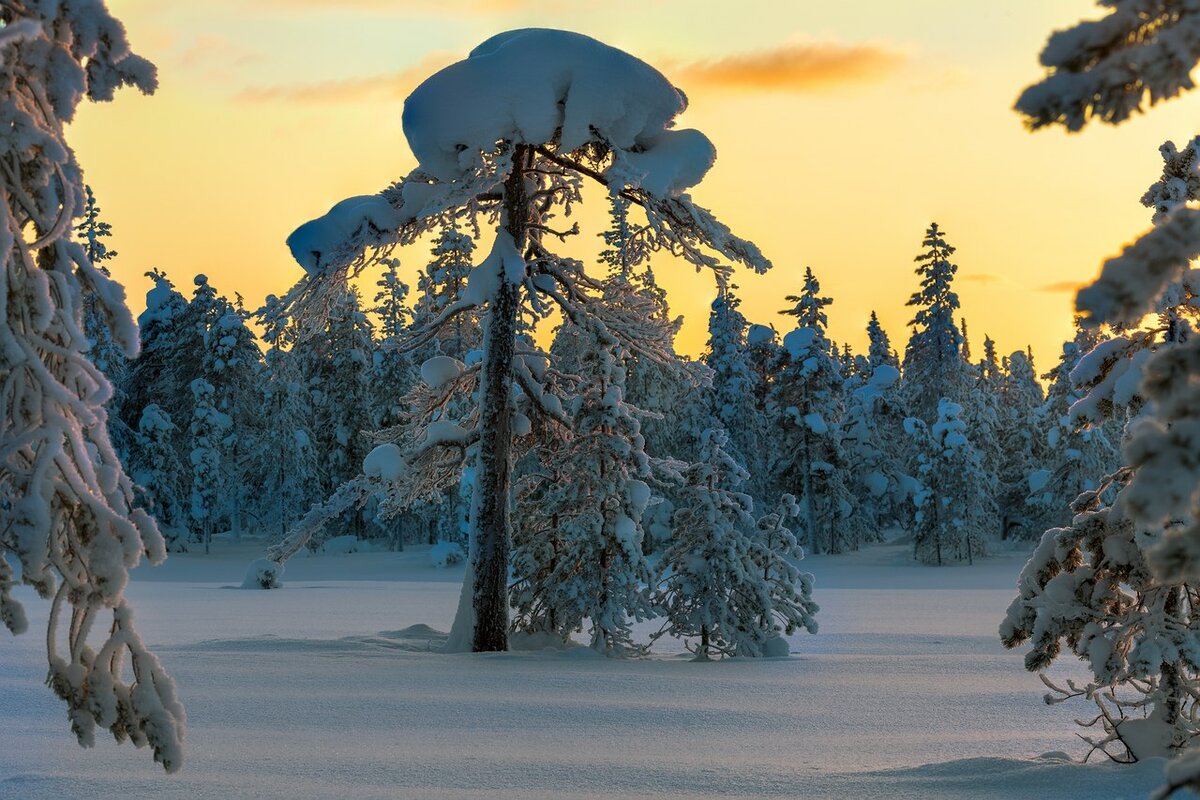 пейзаж зима фото