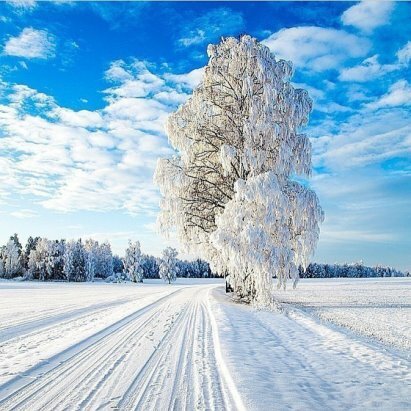 пейзаж зимний фото