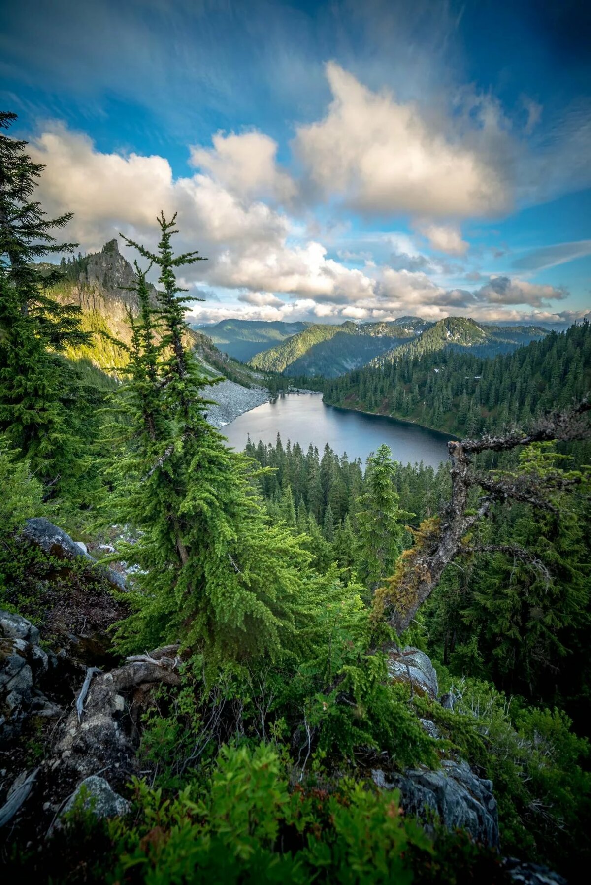 пейзажи леса канады фото