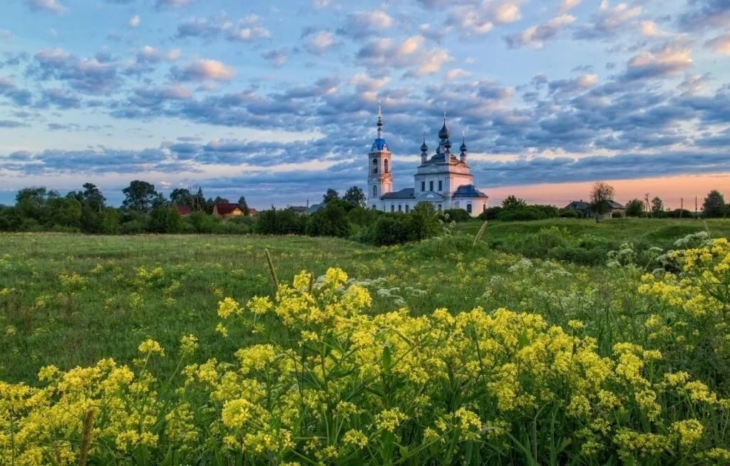 пейзажи природы лето фото