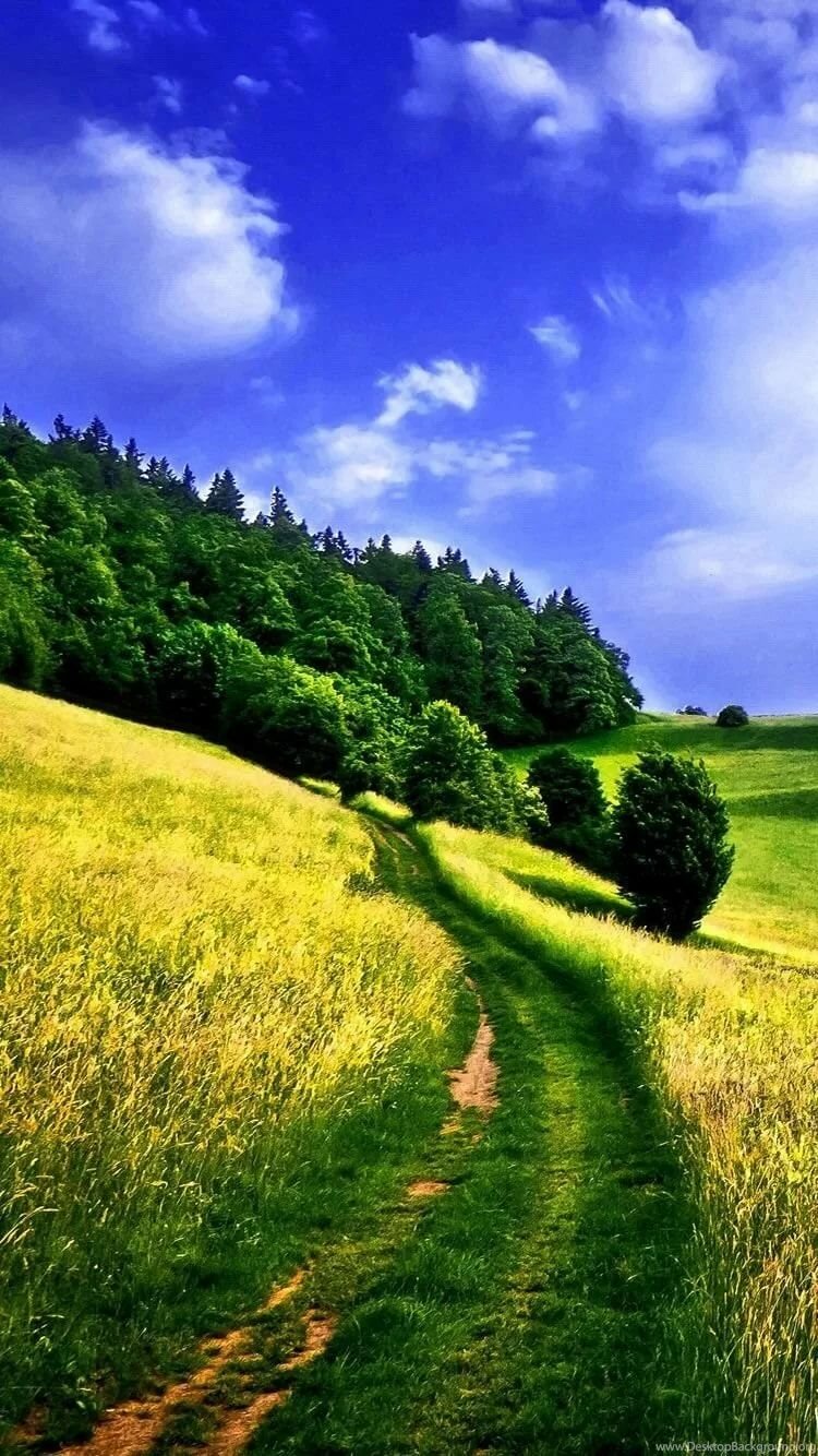 пейзажи природы лето фото