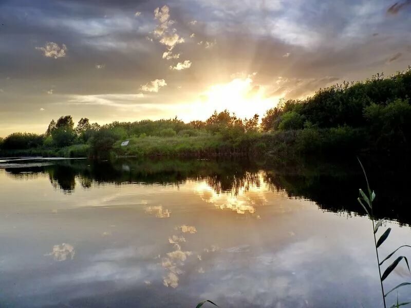 пейзажи рязанских рек фото