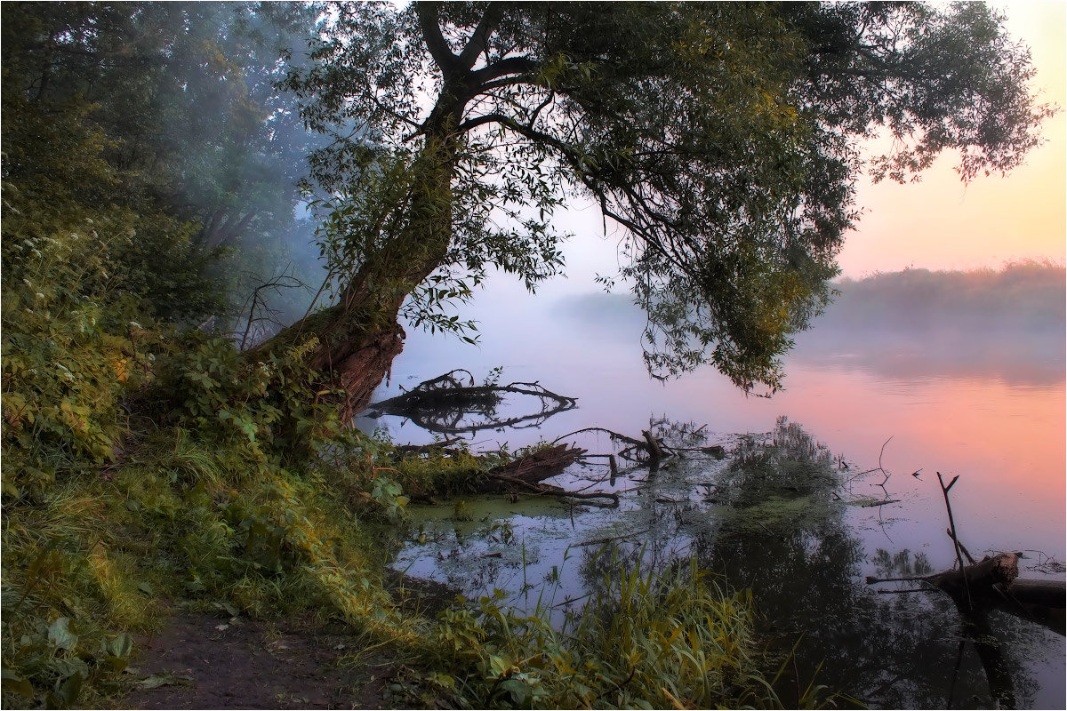 пейзажи утро на реке фото