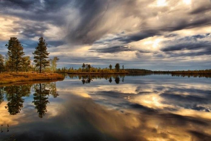 пейзажи васюганские болота фото