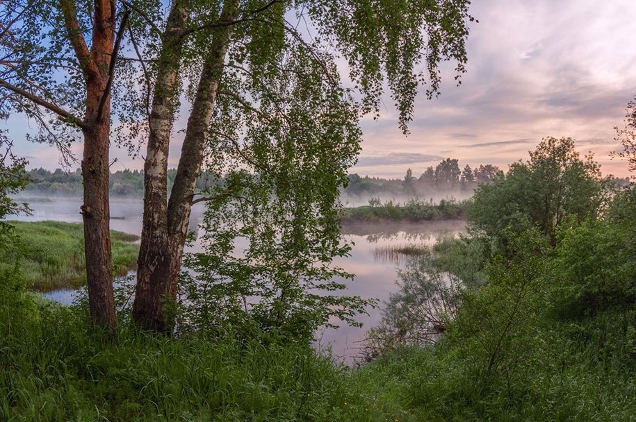 пейзажи вологодской природы фото