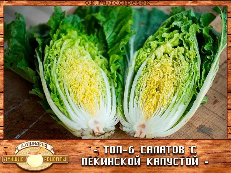 пекинская капуста фото