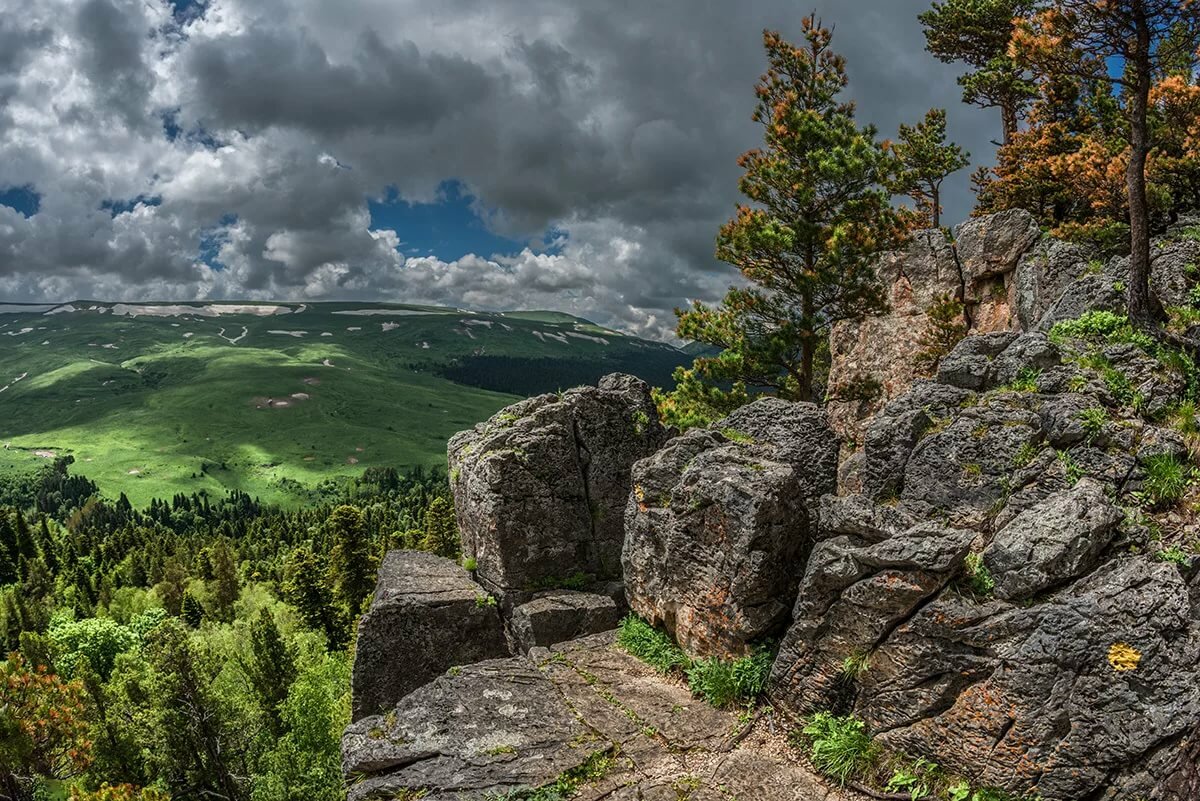 плато лаго-наки адыгея фото