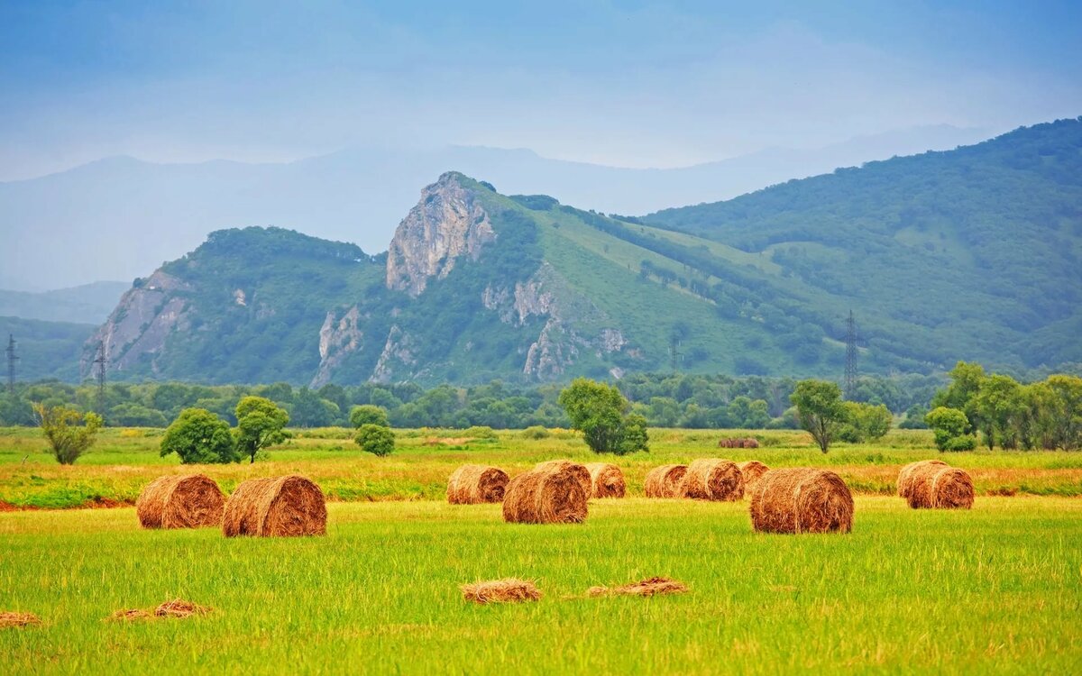 поле со стогами сена фото