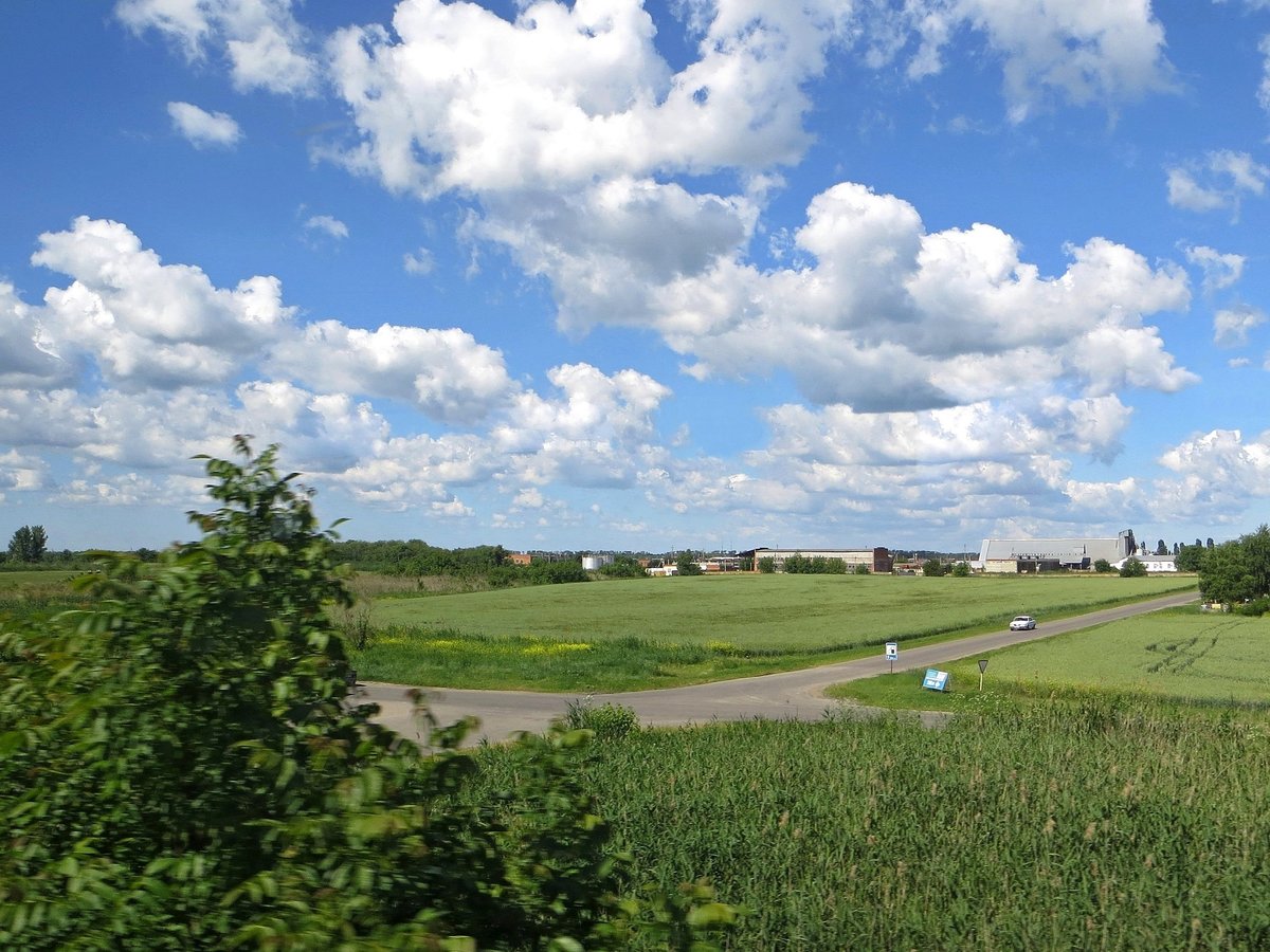 поле в деревне ризадеево фото