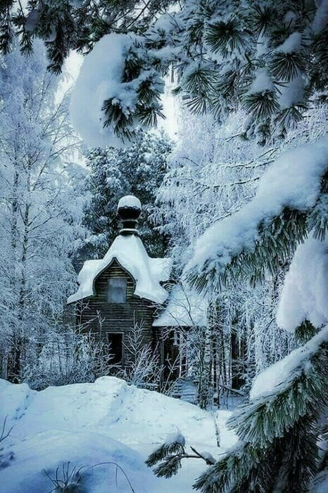порженское кенозерье зима фото