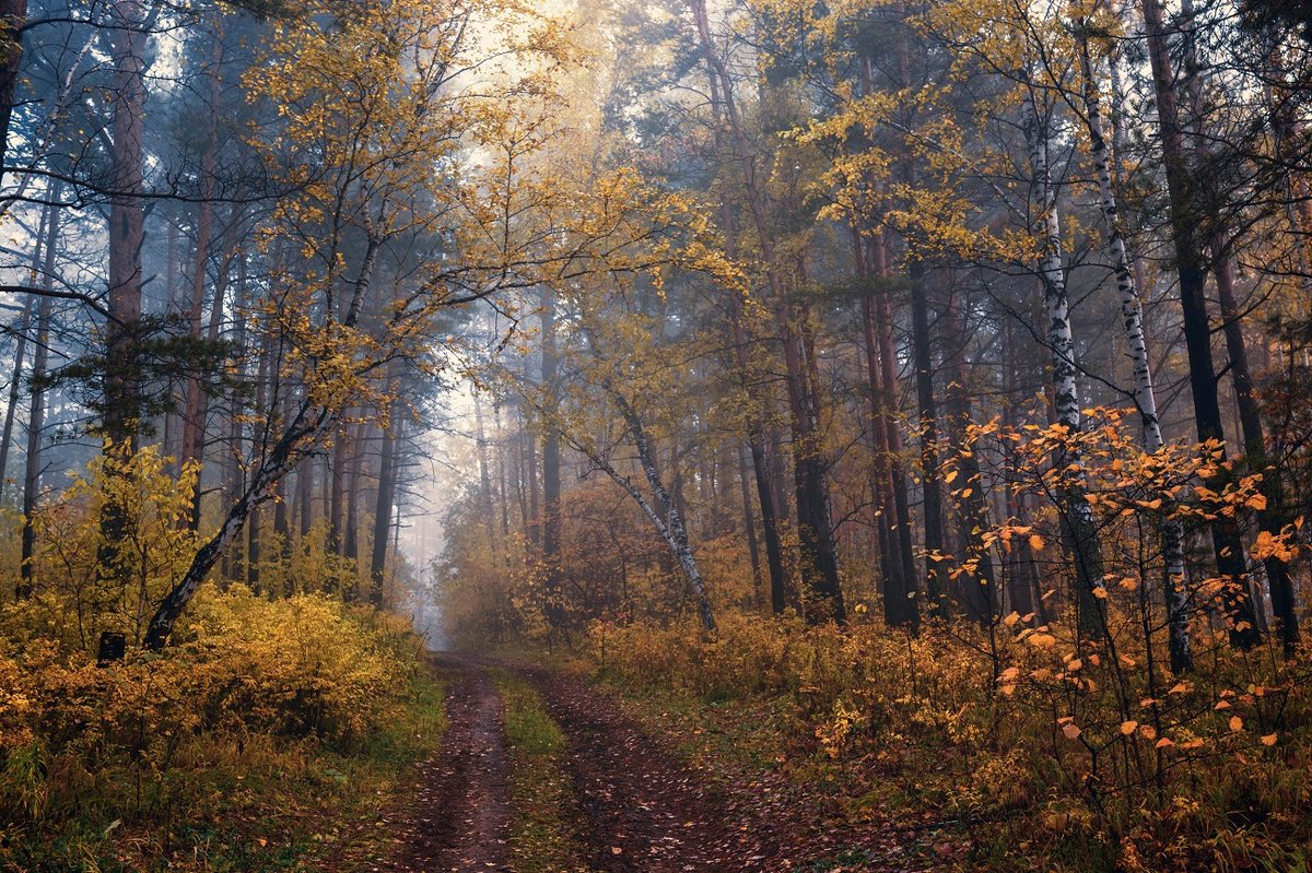 поздняя осень фото природы фото
