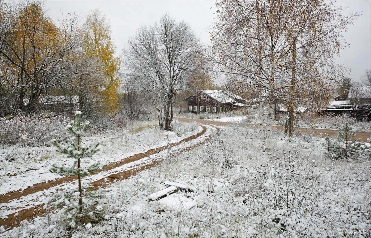 поздняя осень в деревне фото