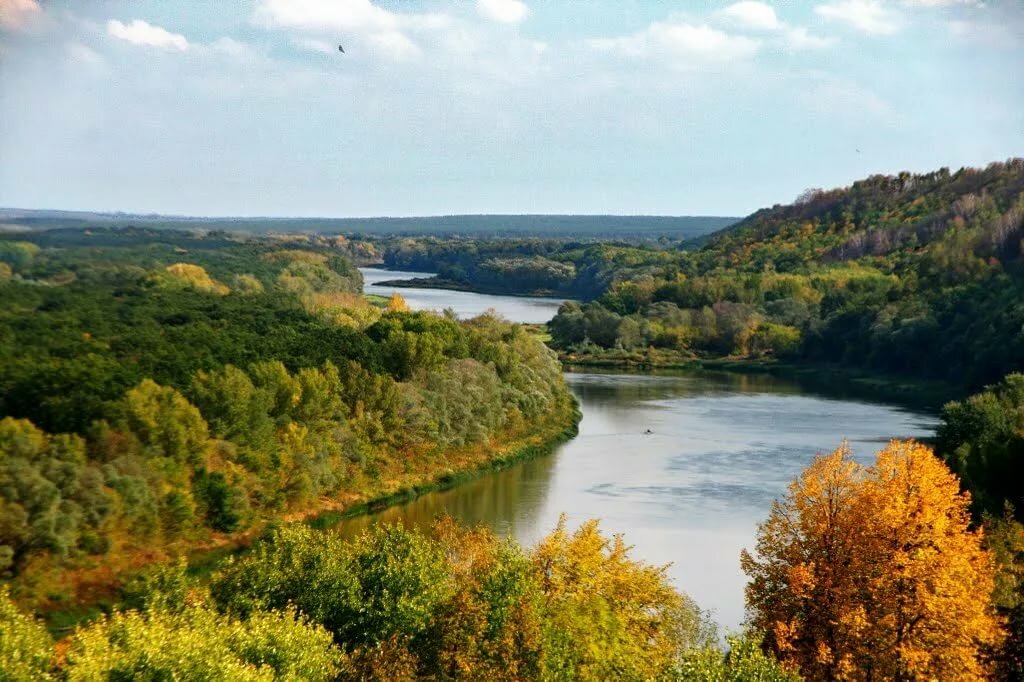 природа дона картинки фото