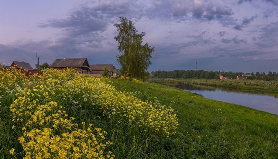 природа картинки красивые деревенские фото