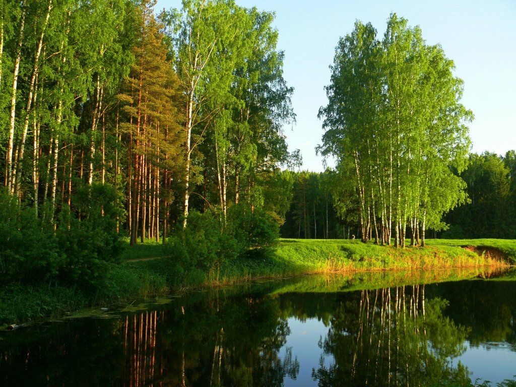 природа ленинградской области фото