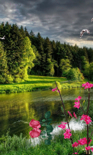 природа лето река лес озеро фото вертикально фото