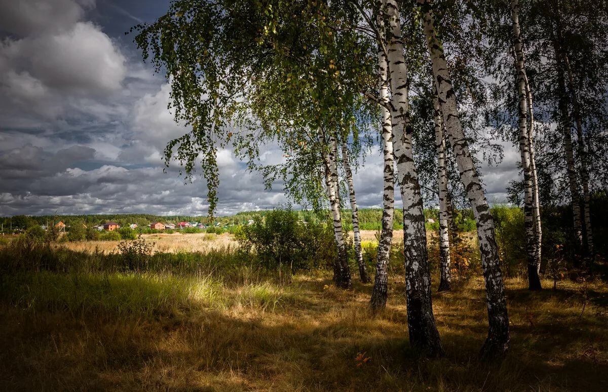 природа подмосковья картинки фото