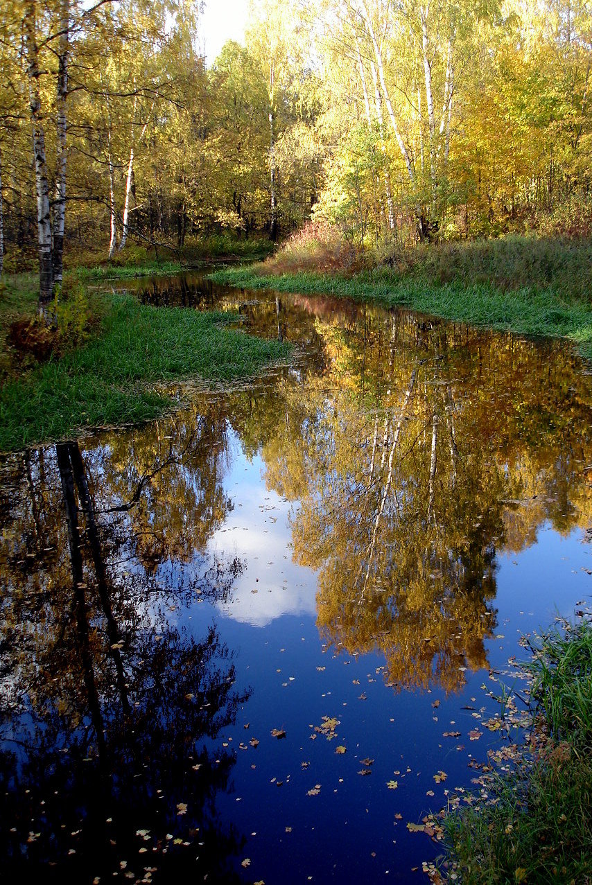 природа россии октябрь фото