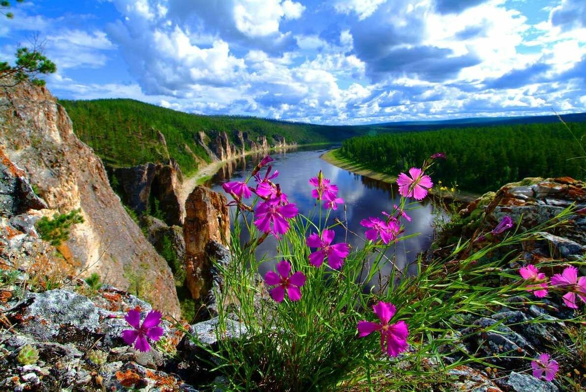 природа якутии картинки фото