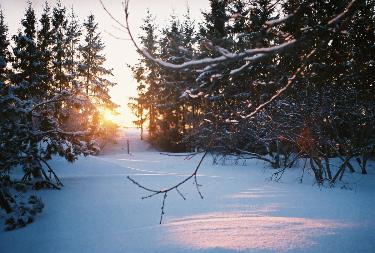 природа зима фото