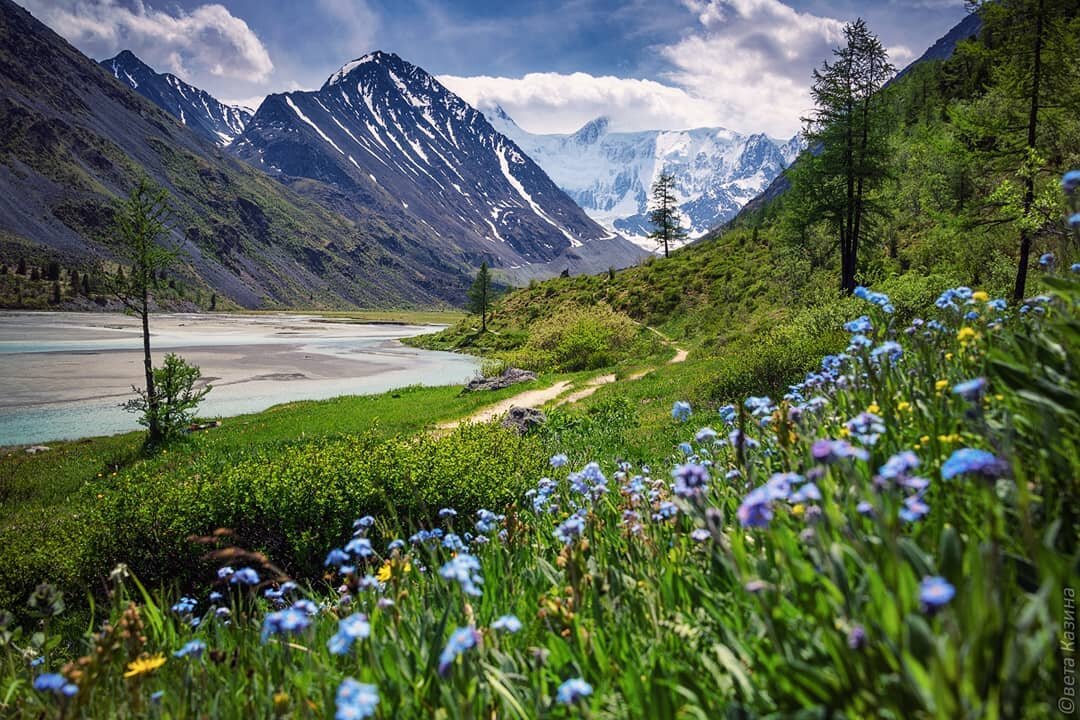 природный парк белуха фото