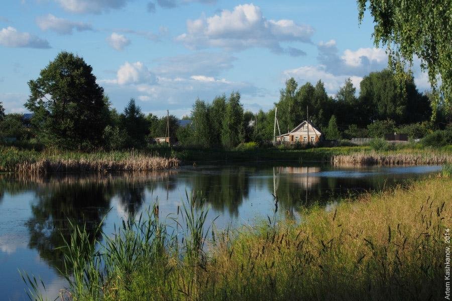 пруд в деревне на картинках фото