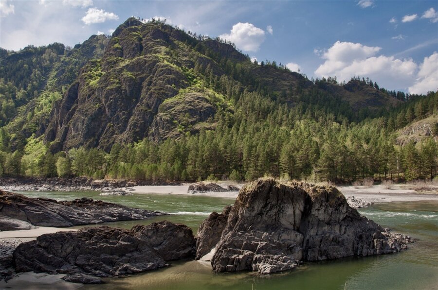 р. катунь алтай фото