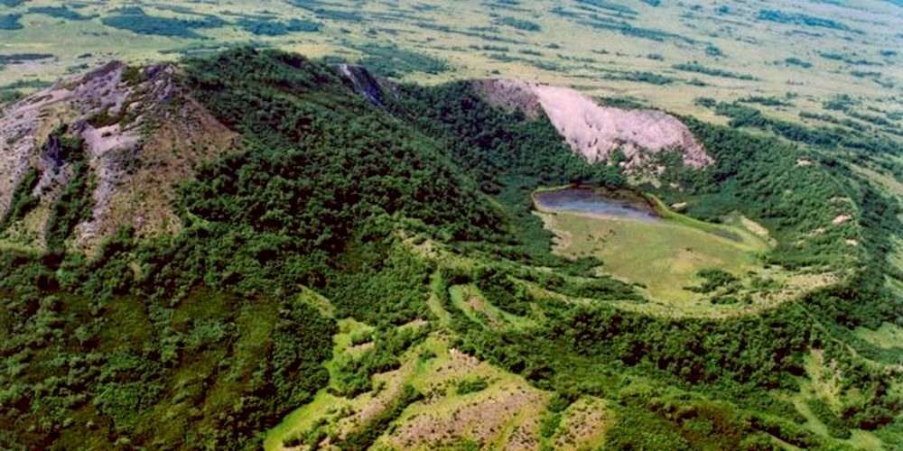 rainforest deforestation фото